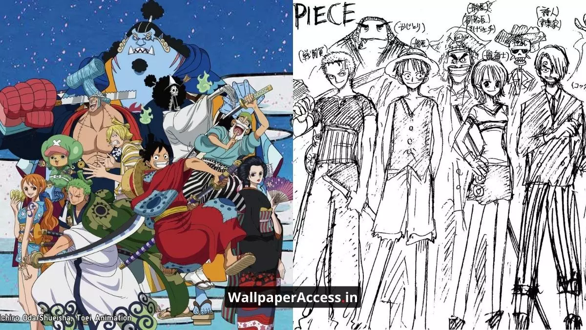 One Piece Original Character Designers